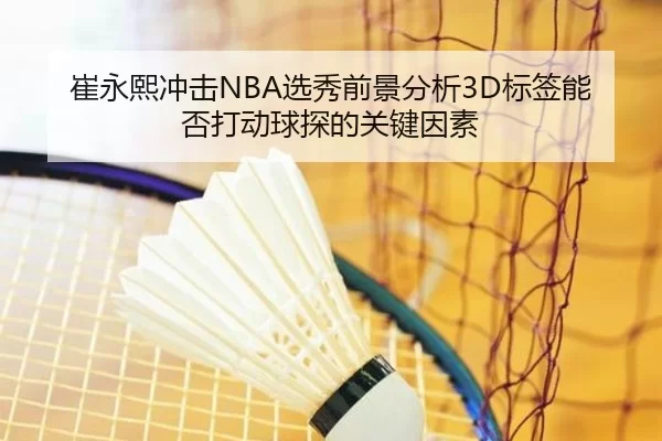 崔永熙冲击NBA选秀前景分析3D标签能否打动球探的关键因素